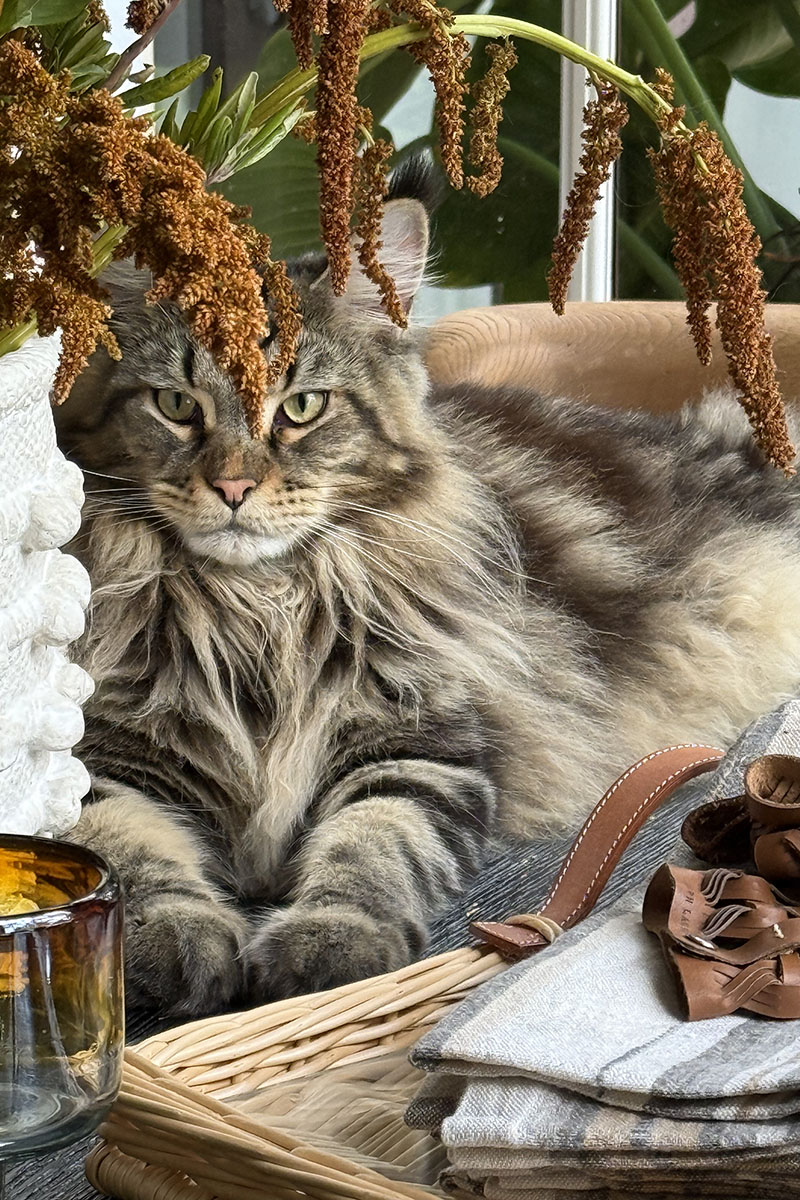 Palm Beach Gardens, FL